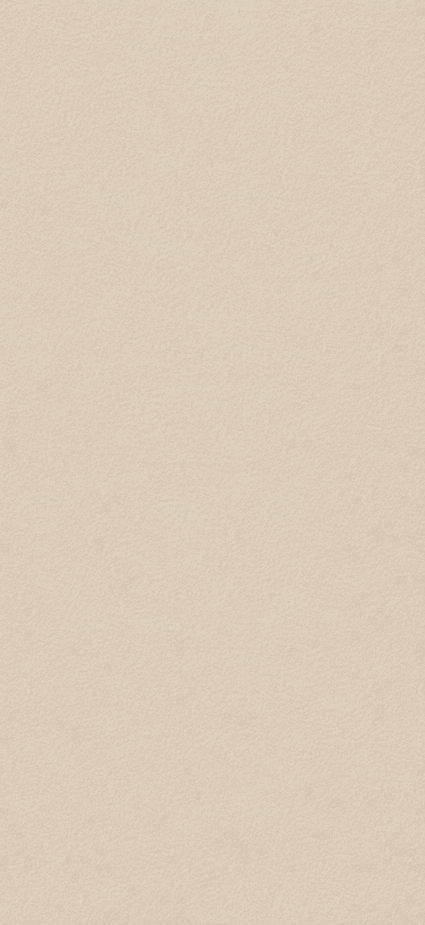 Aspen Beige